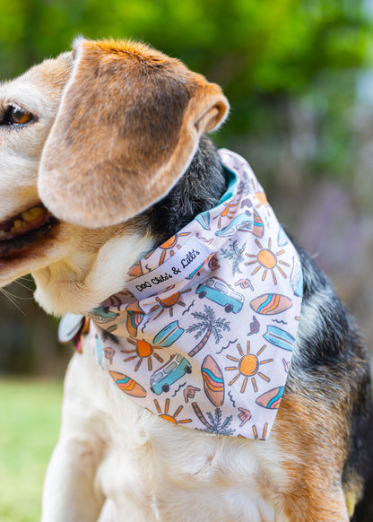 CCTX Pet Bandana